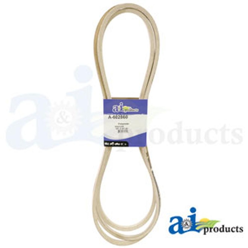 602860 HUSTLER BELT