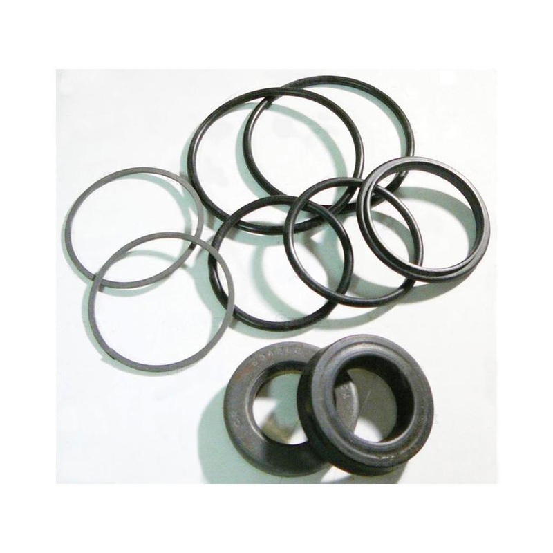 S.61899 Power Steering Cylinder Seal Kit Fits Ford/New Holland