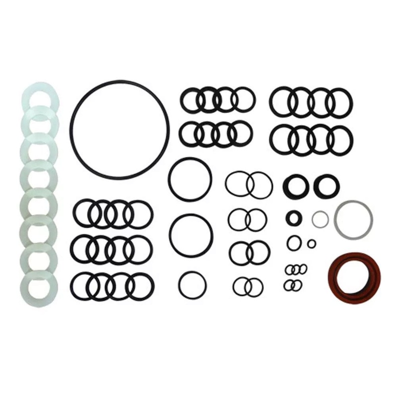 Hydraulic Pump Seal Kit Fits 2520 3010 4000 4010 4020 4040 4055 4240 4320 4440