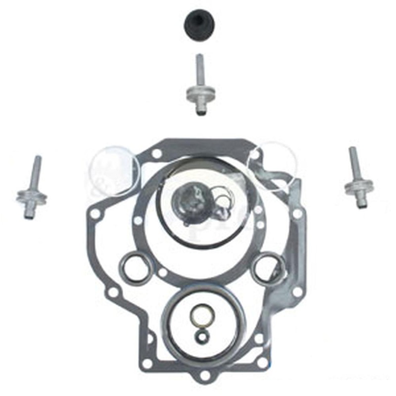 Plunger and Gasket Kit Fits International 756 706 966 1086 1466 766 1066 1026 +