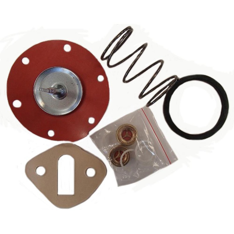 40568 1882944M92 Lift Pump Repair Kit Fits Massey Ferguson 65 165 255 285 298 ++