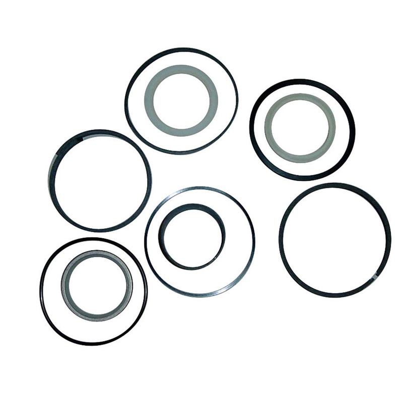 HYDRAULIC CYLINDER SEAL KIT Fits Case 234844A1