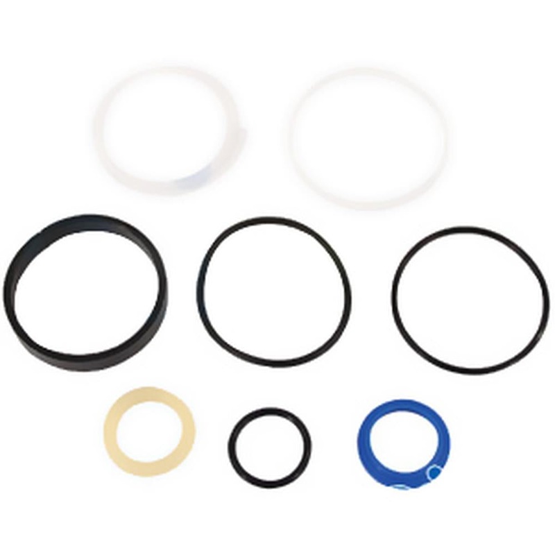 1201-1260 - Seal Kit Fits Massey Ferguson