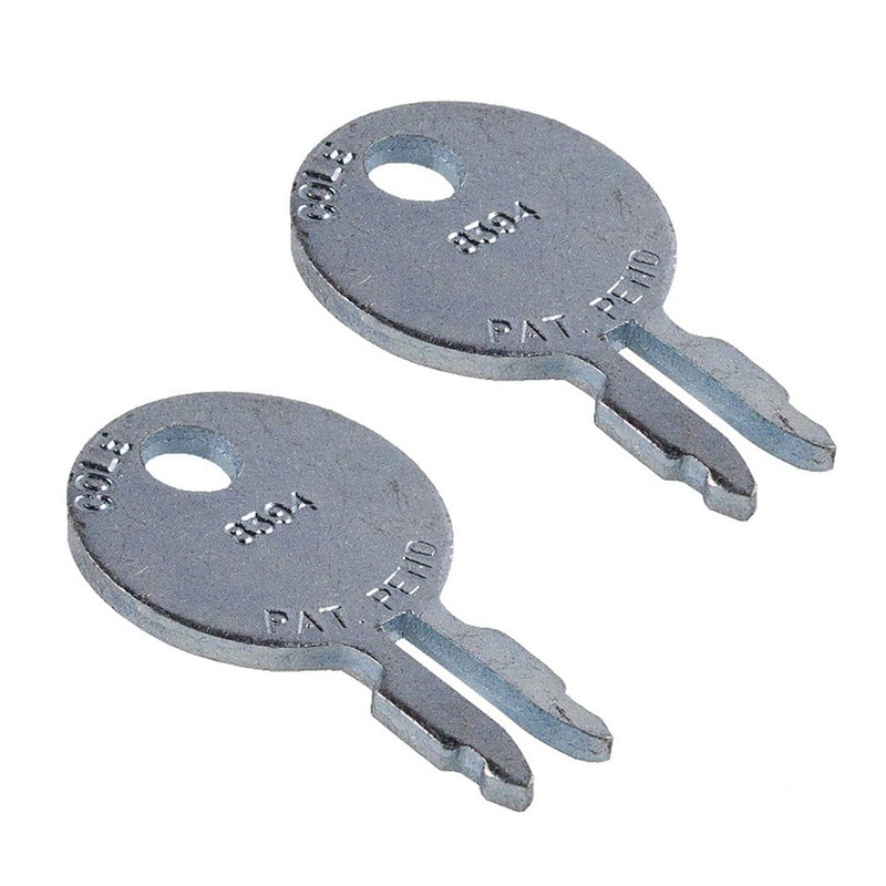 (2)- Ignition Switch Key Fits Massey Ferguson 35 50 65 85 TO20 TO30 TO35